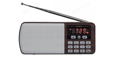 Портативная акустика Perfeo i-120-BR ЕГЕРЬ коричневый