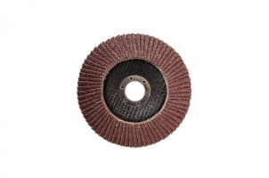 Круг лепестковый BIZON  FFA 125х22,23 -120 зерно